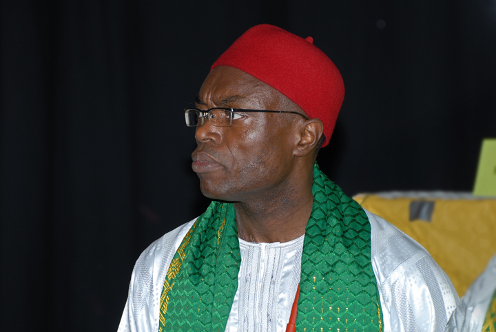 Igbo Anniversary, Nigeria, Afrika, Nürnberg, cultural festival, 2012 Foto Norbert Bergler